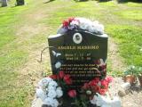 image of grave number 102472